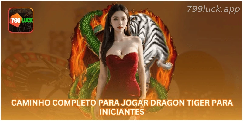 Guia completo para jogar Dragon Tiger para iniciantes.