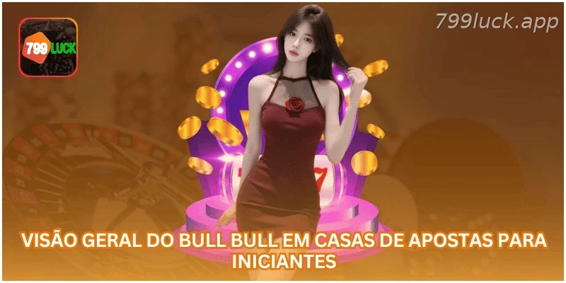 Visão geral do Bull Bull em plataformas de cassino online para iniciantes.